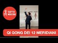 Qi Gong dei 12 Meridiani - Promo dei Corsi TaoYin Modena