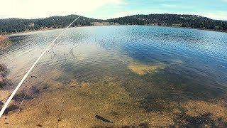 Mountain Trout Fishing near Lake Tahoe!