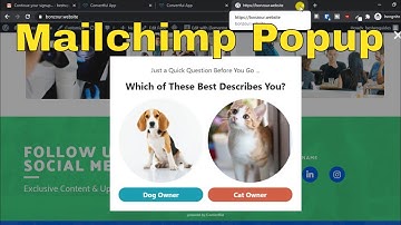 [2020] How to add mailchimp popup subscription form to wordpress