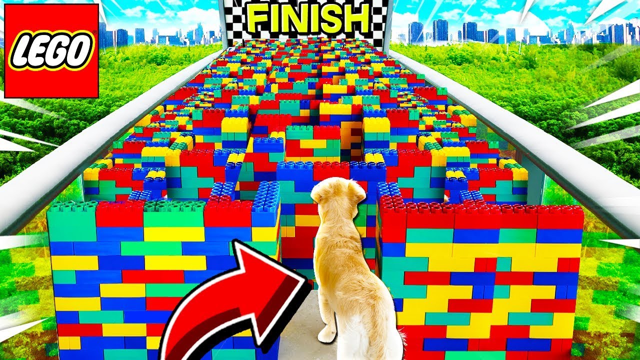 WORLD'S BIGGEST LEGO MAZE for PUPPY! (GIANT LEGO DOG MAZE)