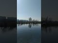 політ лебедів над німецьким озером в м.Івано-Франківськ