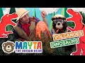 Volcanoes for Kids | Science Experiments for Kids | Dinosaurs for Kids