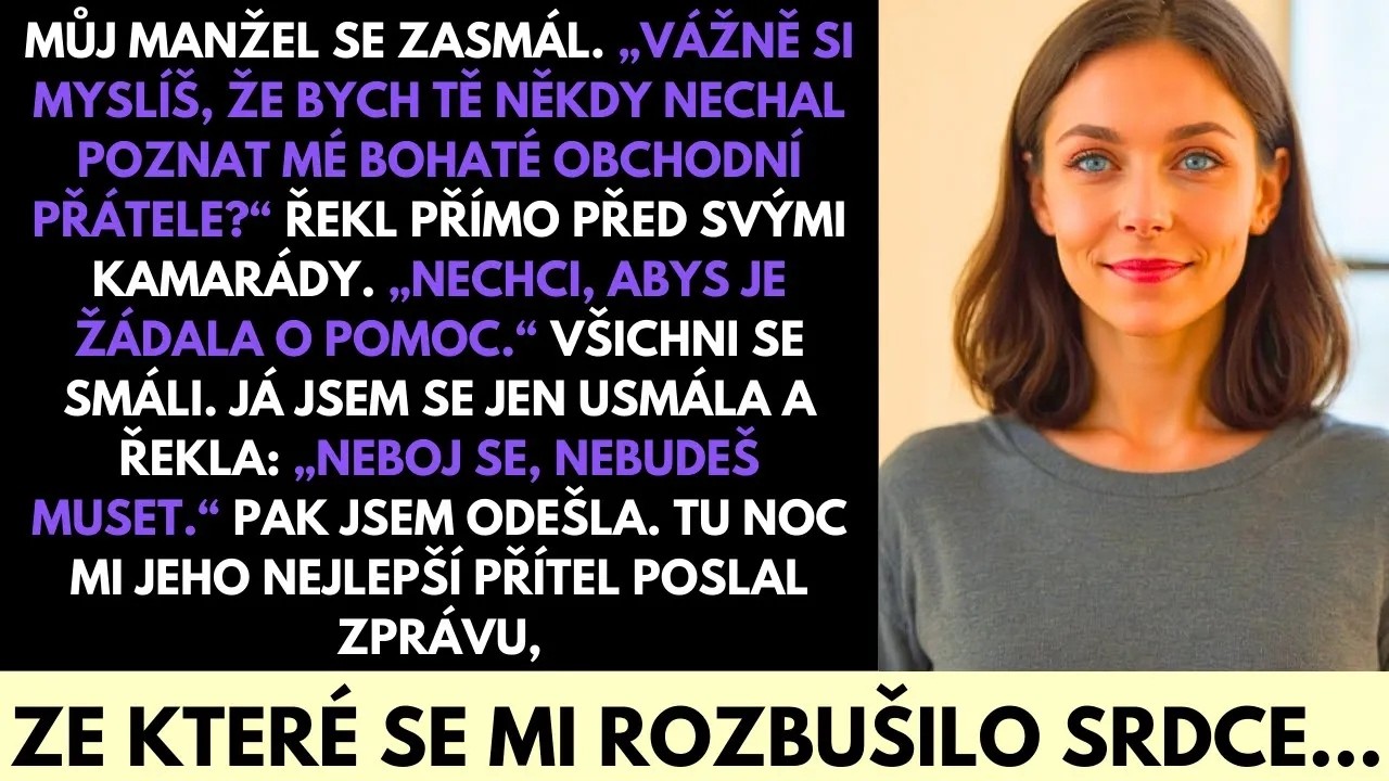 Lukáš se před svými obchodními partnery rozesmál a řekl, že mě nikdy nenechá přiblížit se k jeho bohatým kolegům, protože bych z nich začala tahat peníze. Seděla jsem na konci stolu v luxusním...
