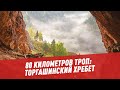 80 километров троп: рай для хайкера на Торгашинском хребте -Отпуск каждый день