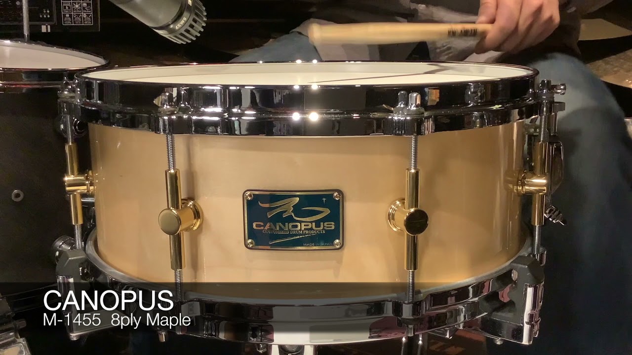 Canopus 'The Maple' Snare Drum 5.5x14 - YouTube