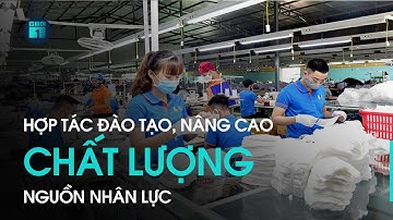 Hợp tác đào tạo, nâng cao chất lượng nguồn nhân lực | VTC1