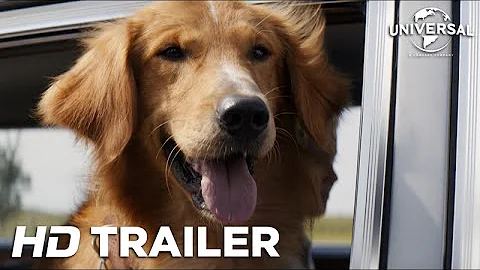 Quatro Vidas de Um Cachorro - Trailer 1