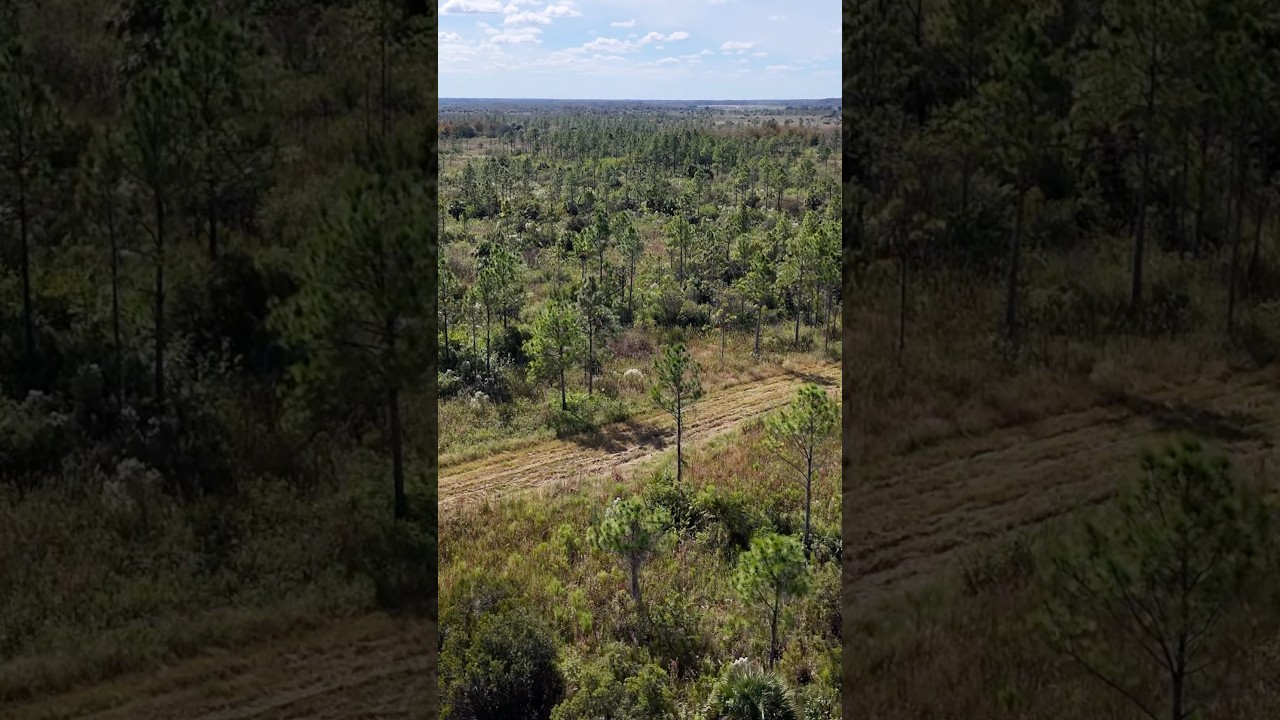 Explore 2,157 acres of conservation land in the heart of Southwest Florida’s Big Cypress Basin