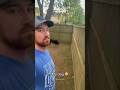 dogs being hilarious #cutegolden #funny #funnypets #pets #petvideos #funnyanimals #cute #funnydogs