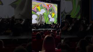 Санкт-Петербургский струнный оркестр Olympic Orchestra; популярная классика