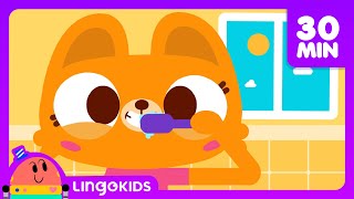 Washing Hands Song 🧼🙌 + More Daily Routine Songs for Kids 🎵 | Lingokids