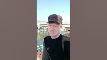 سورة المسد كاملة - بصوت #القارئ_عامر_جبو