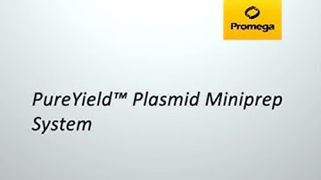 PureYield™ Plasmid Miniprep System