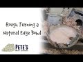 Natural Edge Bowl - Rough Turning!