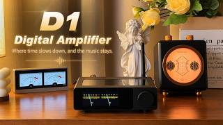 Why Is the Ampapa D1 Loved by Audiophiles? | Inside the Design & Sound Philosophy