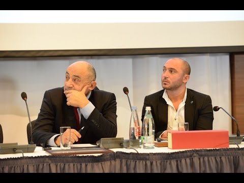 კობა ამირხანაშვილის გამოსვლა  რედისონში 14.11.2016