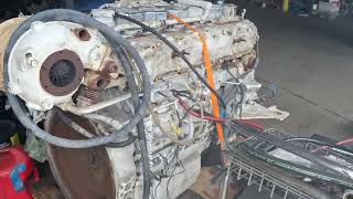 MAN D2876LE405 , Marine Diesel Engine, 730HP@ 2200RPM by Strike Marine 264 views 1 month ago 32 seconds