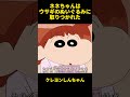 ネネちゃんはウサギのぬいぐるみに取りつかれた #面白集 #クレヨンしんちゃん #お笑い #アニメ #面白い
