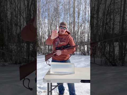 Shooting the .220 Swift into Ballistic Gel at 4,500 FPS thumbnail