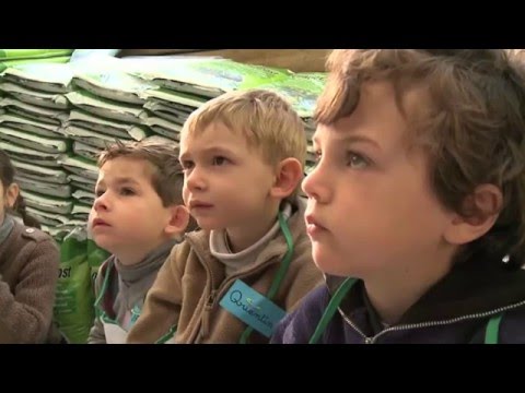 Vidéo: Ecole De Jardinage Décoratif à Pouchkine