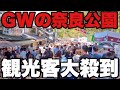 【4K】2025年5月3日(土)GWの奈良公園に観光客大殺到!黃金週期間奈良公園遊客大批湧入!Tourists flock to Nara Park during Golden Week!