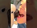 Parrot Steps in to Help Fearful Boy with Loose Tooth at the Dentist