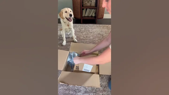 Thankful for Prime Deal Day