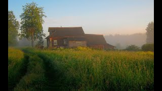 Звуки Природы / Расслабляющие звуки деревни утром / Пение птиц / Деревня в утренние часы.