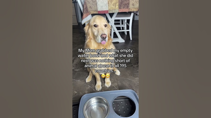 Who can bring Buddy some WATER pleaseee?! #dogproblems #funnydog #storytime #funnydogvideos #doglife