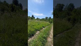 Вост.Казахстан,у р.Малая Ульба,22-23.07.2025.Near the Malaya Ulba River,Eastern Kazakhstan.