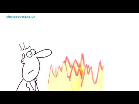 The Project Manager's Story