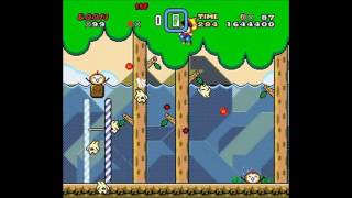 [VIP Mario 4] 4-8 망그로브의 숲 2 | 20100211