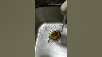 1hp insinkerator vs banana peel.