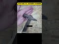 Old Hammer vs. Modern Hammer Which is Strongert #hydraulicpress #hammer