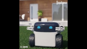 Lawn Robot