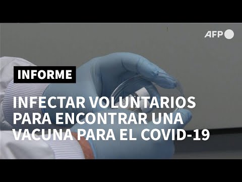 AFP Español: Investigadores británicos infectarán a voluntarios para avanzar en búsqueda de vacuna | AFP AFP Español: Investigadores británicos infectarán a voluntarios para avanzar en búsqueda de vacuna | AFP