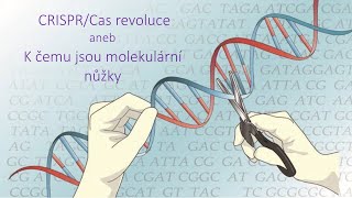 Pokroky v biologii 2024 (3.2) Michal Čáp: CRISPR/Cas revoluce (PřF UK 10.2.2024)