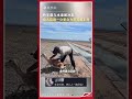 羚羊落入水渠被沖走 眾人直追一公里合力將其救上岸 #animals