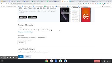 Brightspace Notification SetUp