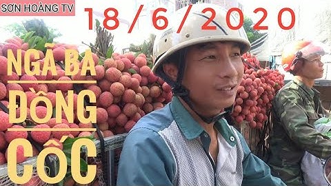 Cập Nhật Giá Vải Thiều Lục Ngạn 18/6/2020 tai ngã ba Đồng cốc ( Luc Ngan litchi )