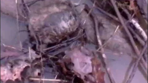 trapping 2013-2014 season part 8