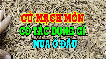 Củ mạch môn có tác dụng gì - Củ mạch môn ngâm rượu - Mua mạch môn hay củ tóc tiên ở đâu