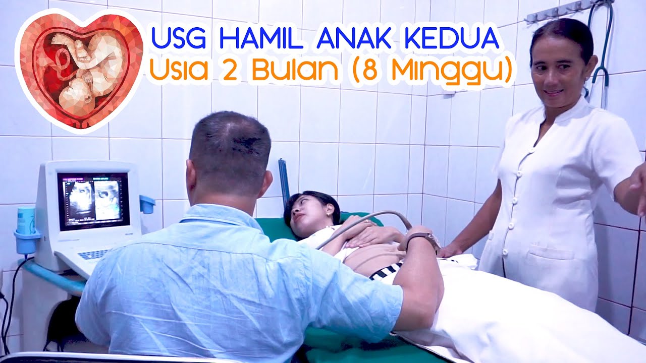 USG Ibu Hamil Usia Kandungan 2 Bulan (8 Minggu ...