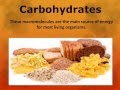 Unpacking Organic Molecules and Their Functions in Living Organisms