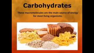 Macromolecules & Enzyme Review