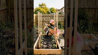 DIY Raised Garden Beds & Growing Juicy Tomatoes 🍅 From Scratch to Harvest