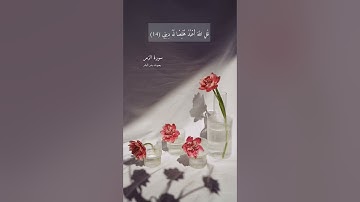 آية ١٤ "قل الله أعبد مخلصًا له ديني" من سورة الزمر | ربِّ ثبّت قلوبنا على دينك ♥
