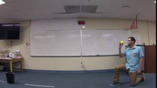 Projectile 7 short