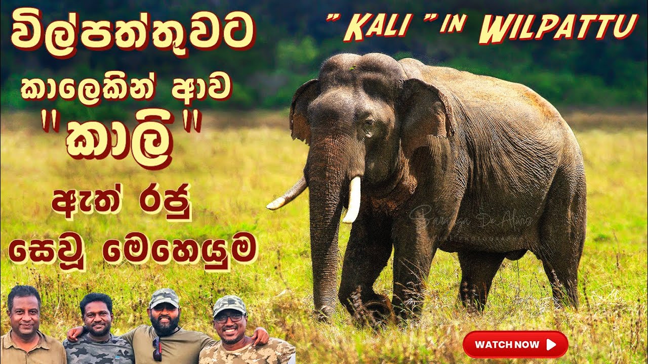 විල්පත්තුවට කාලෙකින්ආව 