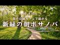 【春カフェBGM】春の公園カフェで流れる新緑の朝ボサノバ｜朝の作業や読書に合うカフェBGM｜Green Park Notes – Bossa Nova for a Calm Morning